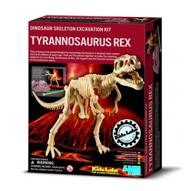 4M KidzLabs eksperiment legetøj, Tyrannosaurus Rex skelet