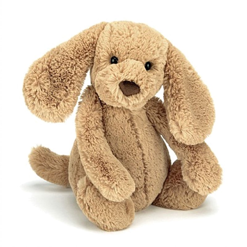 jellycat bashful hund