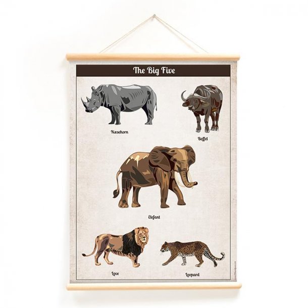 Little and Pure plakat, The big five - 50 x 70 cm