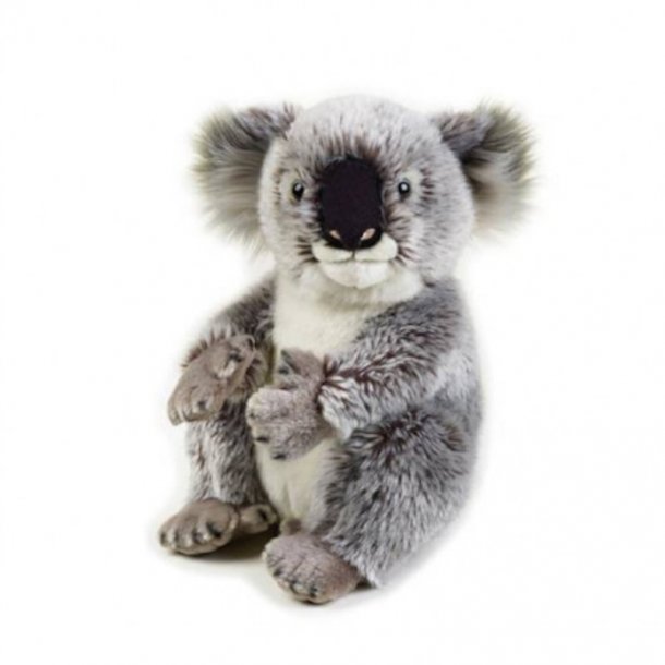 National Geographic bamse, koala - 26 cm